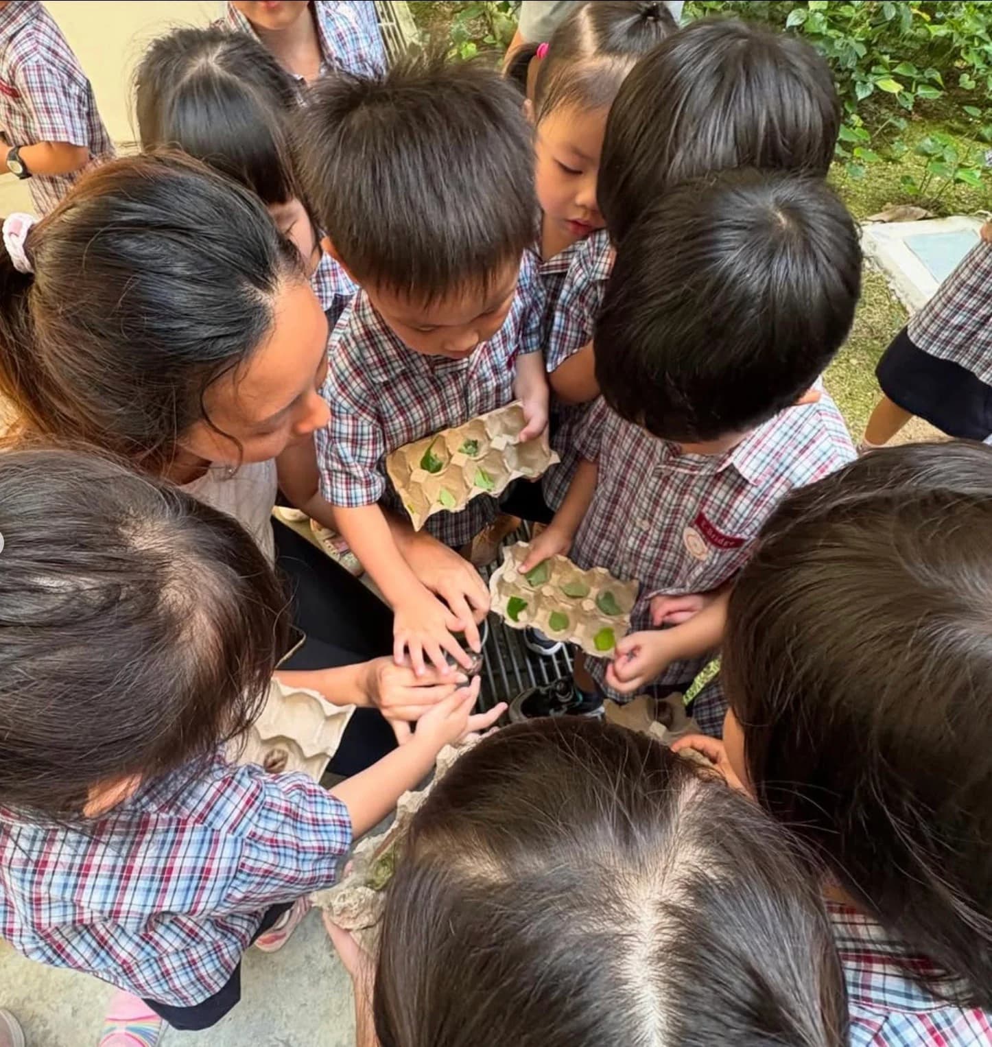 Best Preschools in Woodlands (2026)